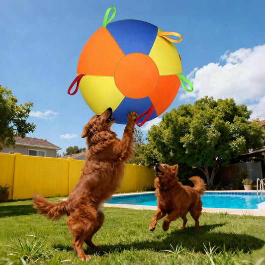 Herding Ball for Dogs, Large Dog Ball with Handles for Outdoor Play