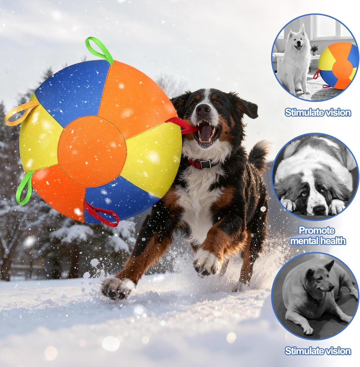 Herding Ball for Dogs, Large Dog Ball with Handles for Outdoor Play