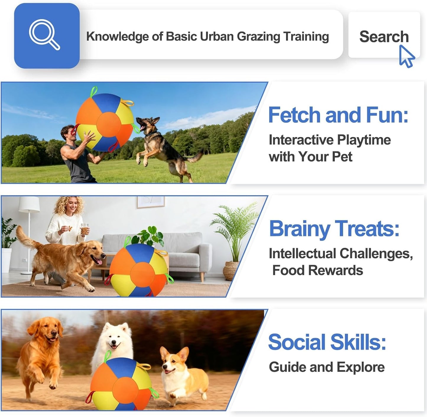 Herding Ball for Dogs, Large Dog Ball with Handles for Outdoor Play