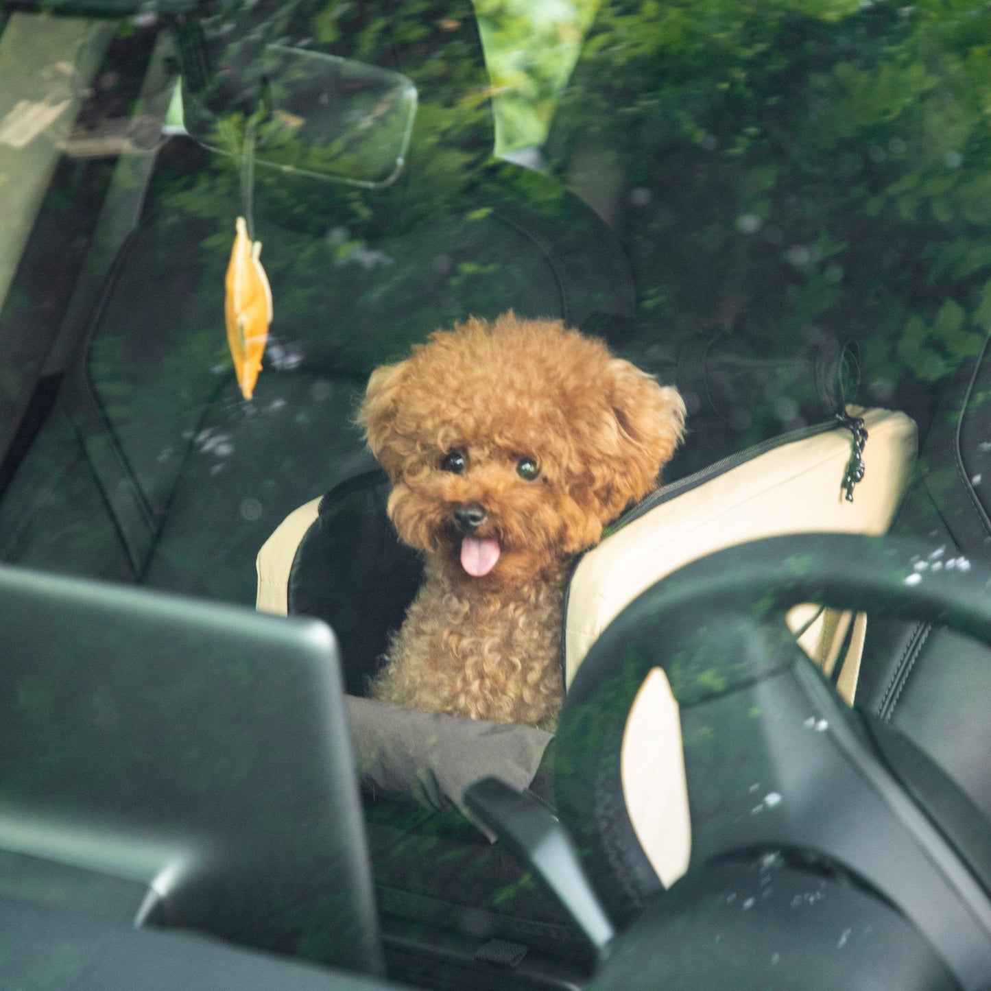 Middle Seat Car Armrest Pet Carrier image 3